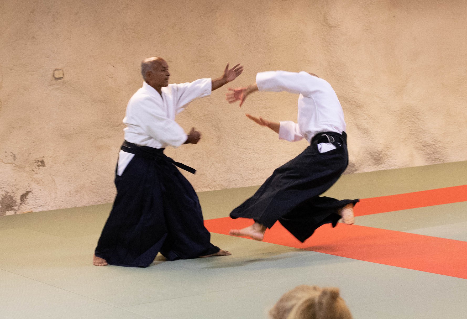 Démonstration d’Aikido – Dojo de la Roseraie